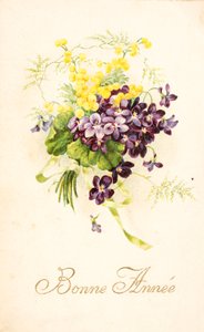 Vieille carte postale/Violette et Mimosa - Unbekannt