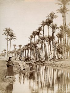 Palmiers le long du Nil. Au premier plan, des hommes en costume traditionnel - Unbekannter Künstler