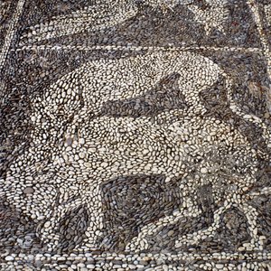 Panthère attaquant un taureau (mosaïque en pierre) - Unbekannt