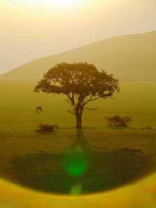 Paradis après la pluie, Chyulu Hills, 2018 - Unbekannter Künstler