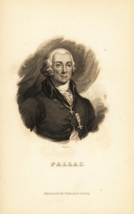 Peter Simon Pallas, explorateur, zoologiste et botaniste allemand