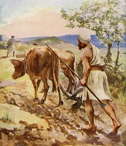 Laboureur travaillant avec une charrue tirée par des bœufs