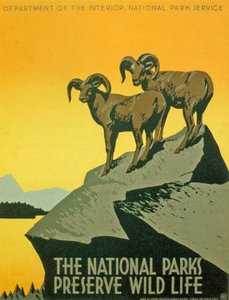 Affiche promouvant la biodiversité des parcs nationaux - Unbekannter Künstler