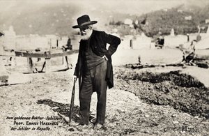 Professeur Ernst Haeckels à Rapallo, Italie (photo en noir et blanc)