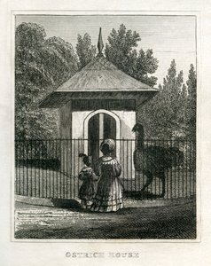 Zoo de Regent
