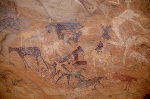 Art rupestre, Préhistoire : Peinture rupestre de bovins, un genou dans un abri orné dans le massif de l