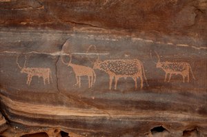 Art rupestre, Préhistoire : Gravure de quatre bovins dans le massif de l