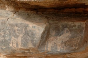 Art rupestre, Préhistoire : Gravure de trois bovins dans le massif de l