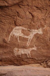 Art rupestre, Préhistoire : Peinture rupestre de deux vaches à longues cornes dans un abri orné, dans le massif de l