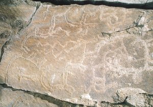 Gravures rupestres dans la vallée de Hunza, près de la zone archéologique de Karimabad, Pakistan - William M. Timlin