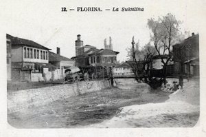 Serbie, Florina (actuelle Grèce) : vue de la Sukulina - Carte postale 1914-1918