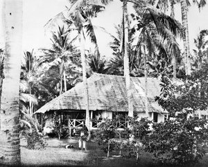 Singapour : Un bungalow privé entouré de palmiers. Singapour, vers 1875
