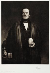 Sir Richard Owen, naturaliste et paléontologue anglais, vers 1845