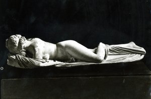Hermaphrodite endormi
