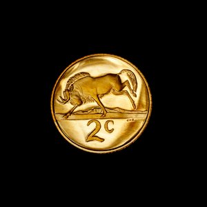 Pièce sud-africaine de 2 cents