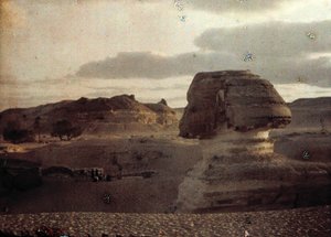 Sphinx - Unbekannter Künstler
