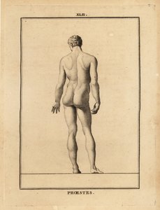 Statue d