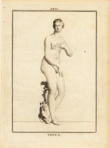 Statue de Vénus, déesse romaine de l
