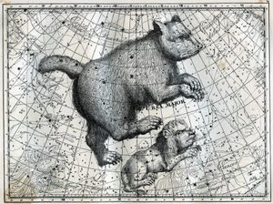Les constellations boréales : la Grande Ourse et le Petit Lion. Gravure tirée de « Les étoiles et les autres curiosités du ciel » de Camille Flammarion - Unbekannt