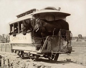 Le Cherrelyn Horse Car, Denver, Colorado, vers 1890 (photo n/b) - Nicolas Liez