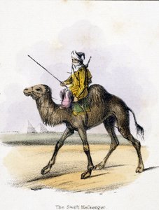 Le messager rapide, vers 1845 - Unbekannter Künstler