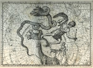 Les constellations proches du pôle Nord : Petite Ourse, Dragon, Céphée, Girafe, Renne et Messier. Gravure tirée de « Les étoiles et les autres curiosités du ciel » de Camille Flammarion - Unbekannt