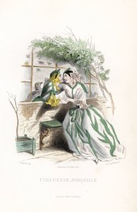La fée tubéreuse et un elfe narcisse courtisés sur un banc de jardin, à côté d