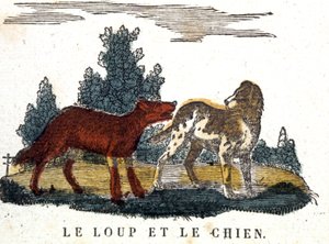 Le loup et le chien, conte de La Fontaine, début du 19e siècle (gravure)