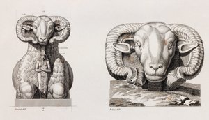 Thèbes