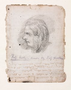 Thomas Henry Huxley, biologiste anglais, milieu-fin 19e siècle - Unbekannt