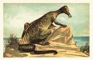 Trachodon mirabilis, dinosaure hadrosauridé éteint - Unbekannter Künstler