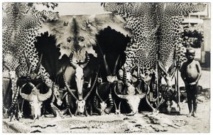 Trophées, c.1910 (photo n/b)