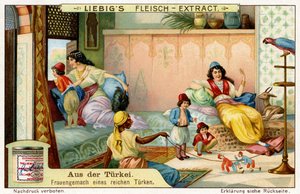 Turquie : Bower de la femme d