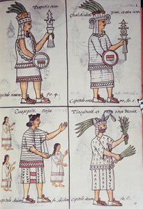 Tzapotlatena, Chalchiuhtlatonal, Cioapipitli et Tliltecuhtli, Codex Florentin - William M. Timlin