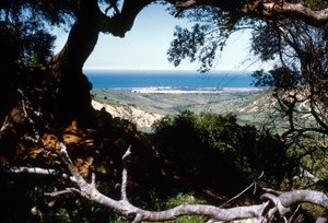 Vue de la mer Méditerranée, Kabylie, Algérie - Unbekannter Künstler