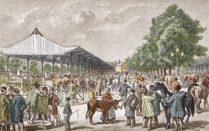 Vue du marché aux chevaux dans le 5e arrondissement de Paris. Gravure de Les stages d