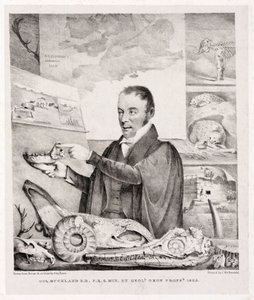 William Buckland, géologue - Unbekannt