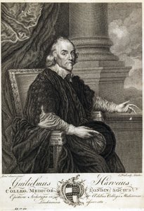 William Harvey, médecin anglais - Unbekannt