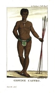 Jeune homme San, avec des lances, Afrique du Sud. De François Le Vaillant
