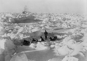 Expédition transantarctique impériale : membre de l