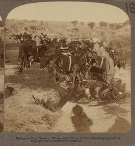 Abreuvement des chevaux d