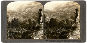 Plantation de vers à soie dans les montagnes du Liban, Syrie, années 1900 - Underwood and Underwood