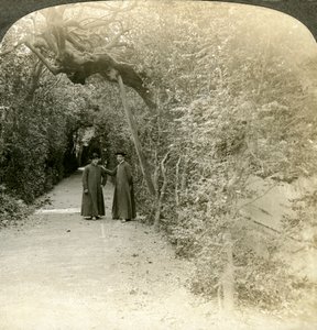 Le Bower de Saint Antoine, Jardins du Vatican, Rome, Italie - Underwood and Underwood