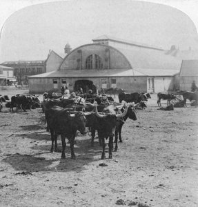 Bâtiment où les prisonniers de guerre ont été jugés, Pretoria, Afrique du Sud, Guerre des Boers, 1901 - Underwood and Underwood