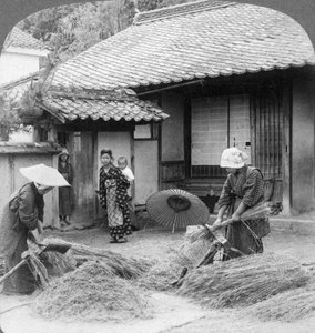 Femmes de fermiers au travail, Iwakuni, Japon, 1904 - Underwood and Underwood