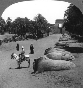 Grande avenue menant au Temple de Karnak, Thèbes, Égypte, 1905 - Underwood and Underwood