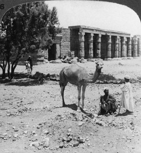 Regard vers le nord vers le temple de Sethos I, Thèbes, Égypte, 1905 - Underwood and Underwood