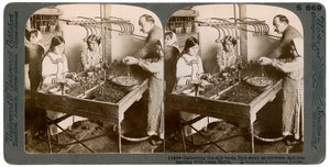 Fabrication de la soie, Syrie, années 1900