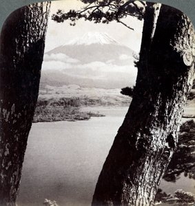 Mont Fuji, vu du nord-ouest, à travers les pins du lac Motosu, Japon