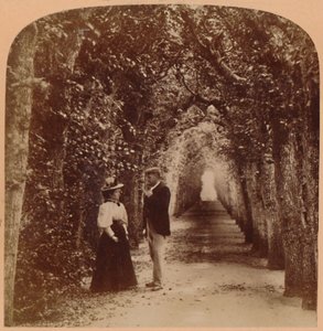 La tonnelle de la reine Mary, Hampton Court, Londres, Angleterre - Underwood and Underwood